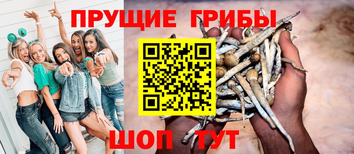 Галлюциногенные грибы мухоморы Златоуст