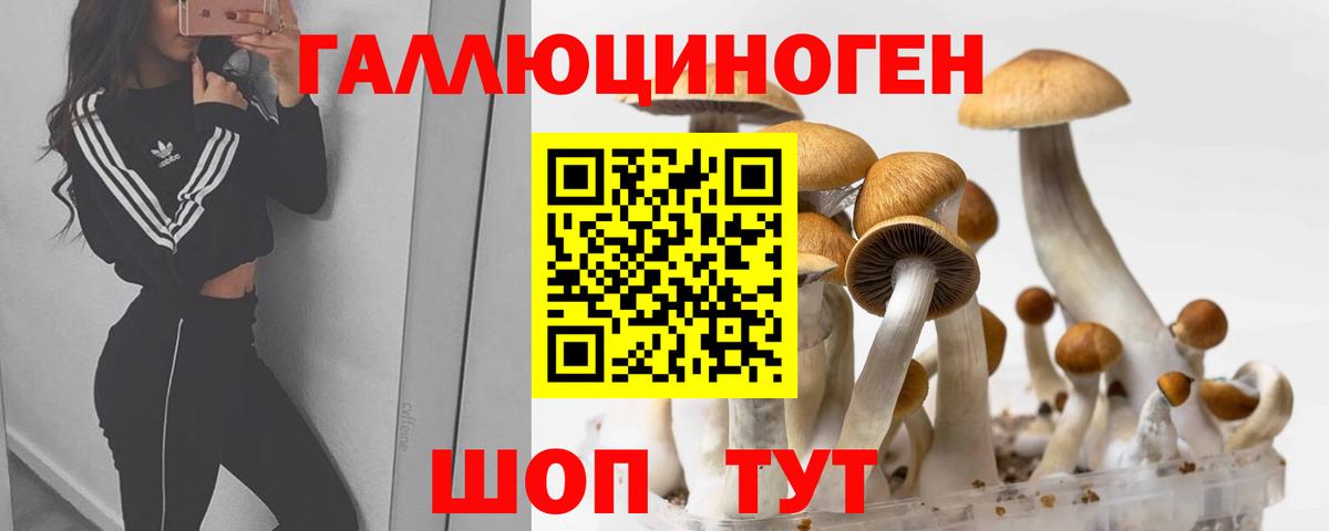сколько стоит  Вход с VPN  Златоуст  Псилоцибиновые грибы MAGIC MUSHROOMS 